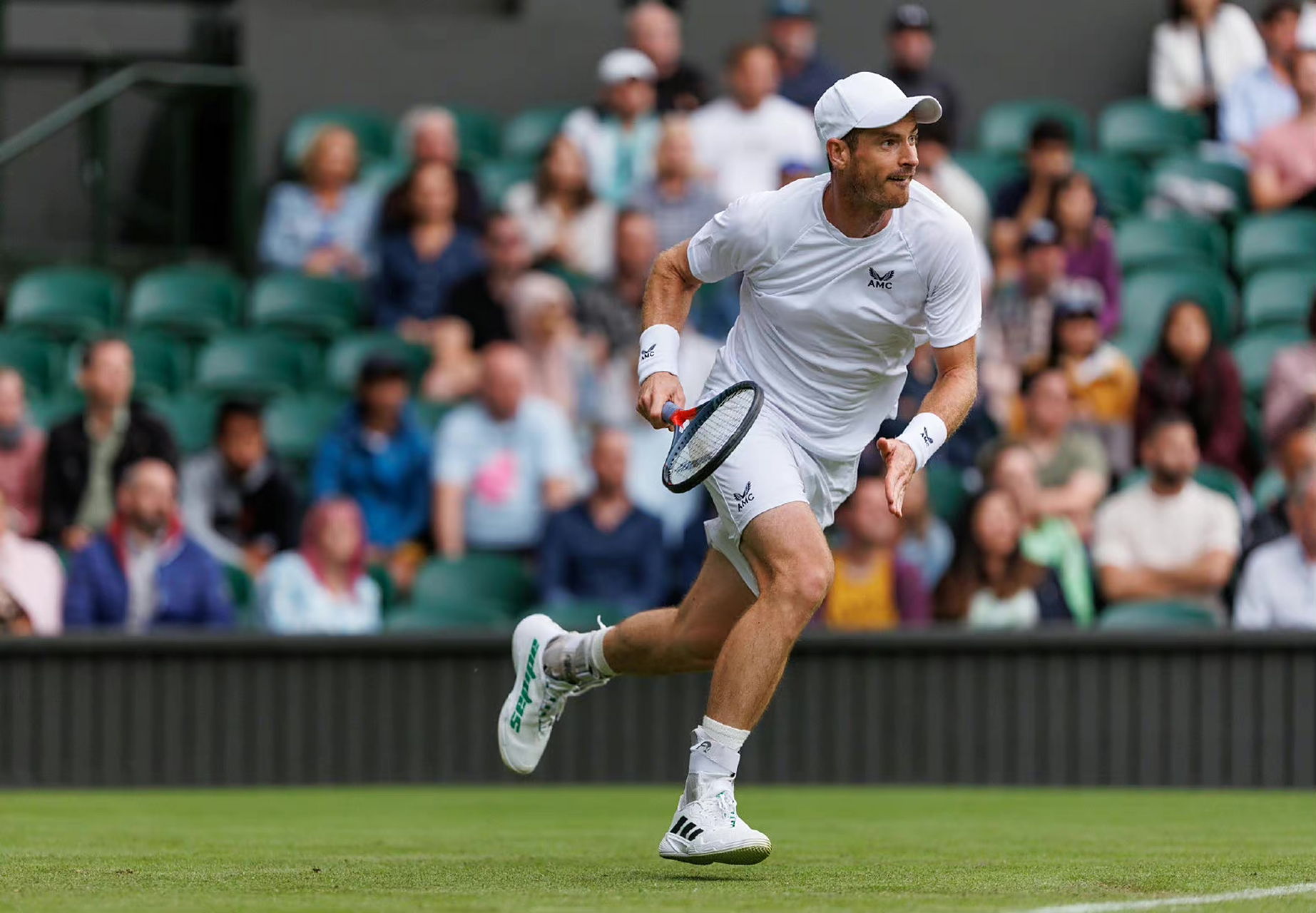 温网横扫年终总决赛，穆雷状态火热