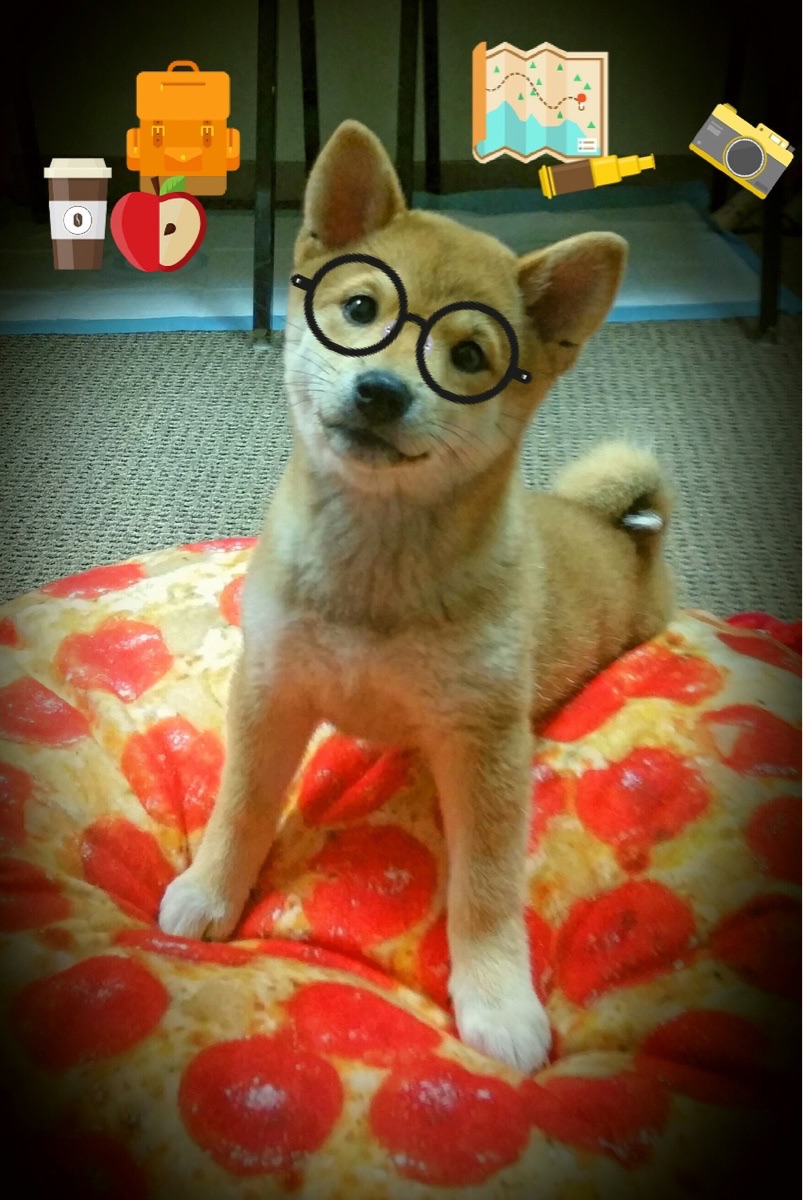 拉满的评分不是数字，是燃烧的星群