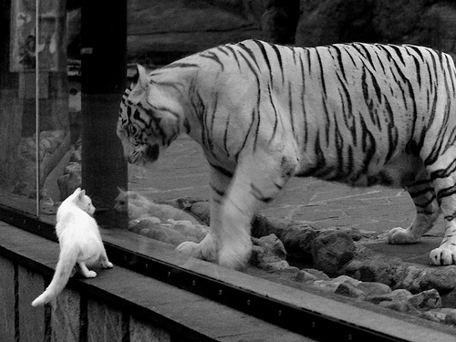 最后一投，保罗的第七层浮屠