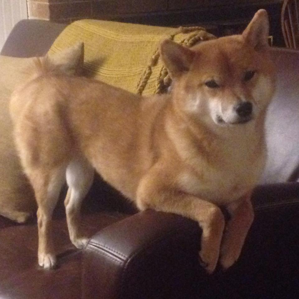 中场元帅，当卡塞米罗的节奏成为绿茵场的唯一法则