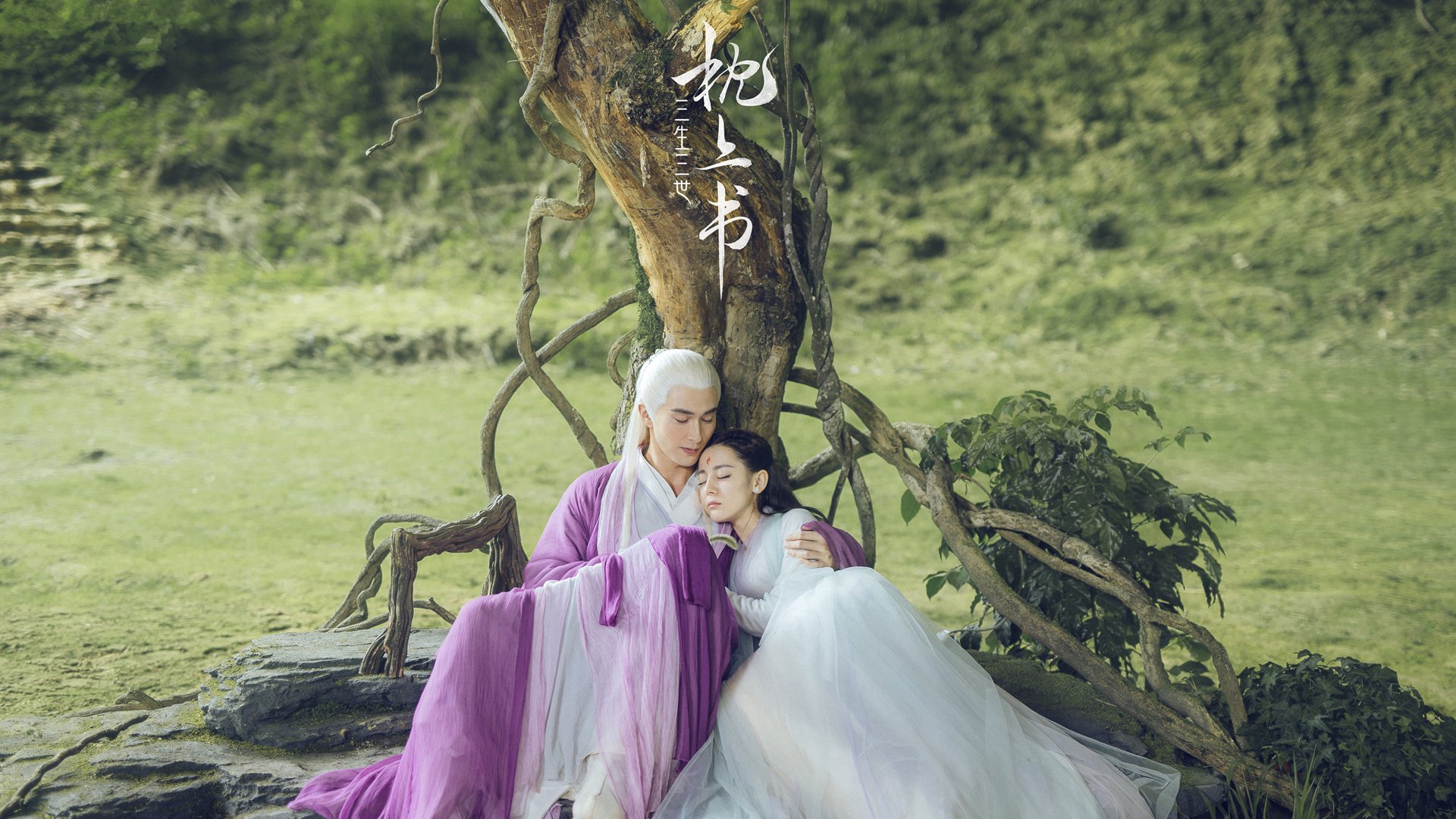 选项（扩展思维）