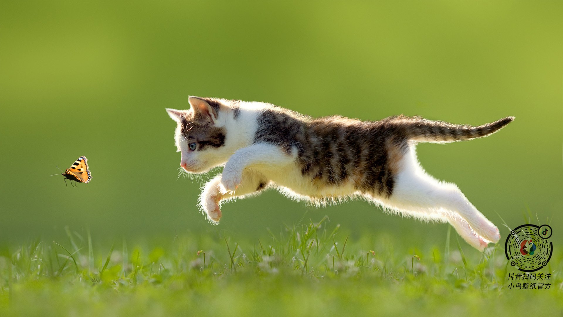 平行时空的决胜时刻,当绿茵豪门遇上篮球逆袭