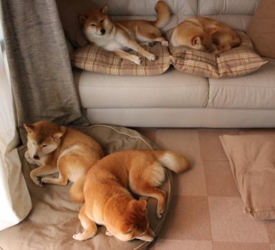 亚洲之光撕裂夜幕，西决生死战孙兴慜一剑封喉，托特纳姆的逆袭史诗