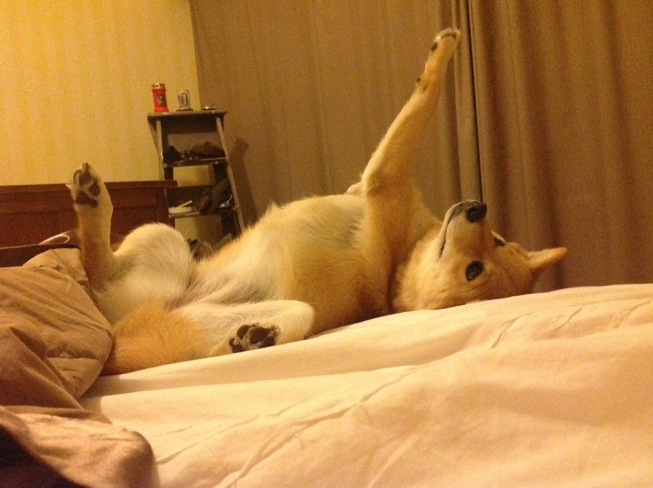 银河流浪者,伦纳德在2026世界杯之夜的独白