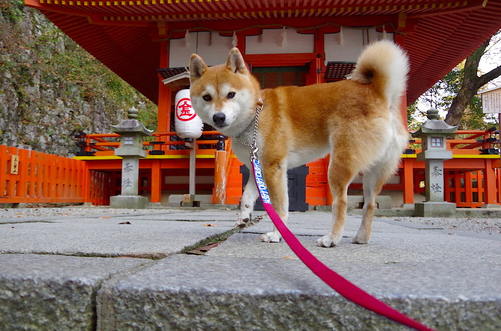 雕塑永恒之夜,黄喜灿如何将生死战镌刻为足坛唯一