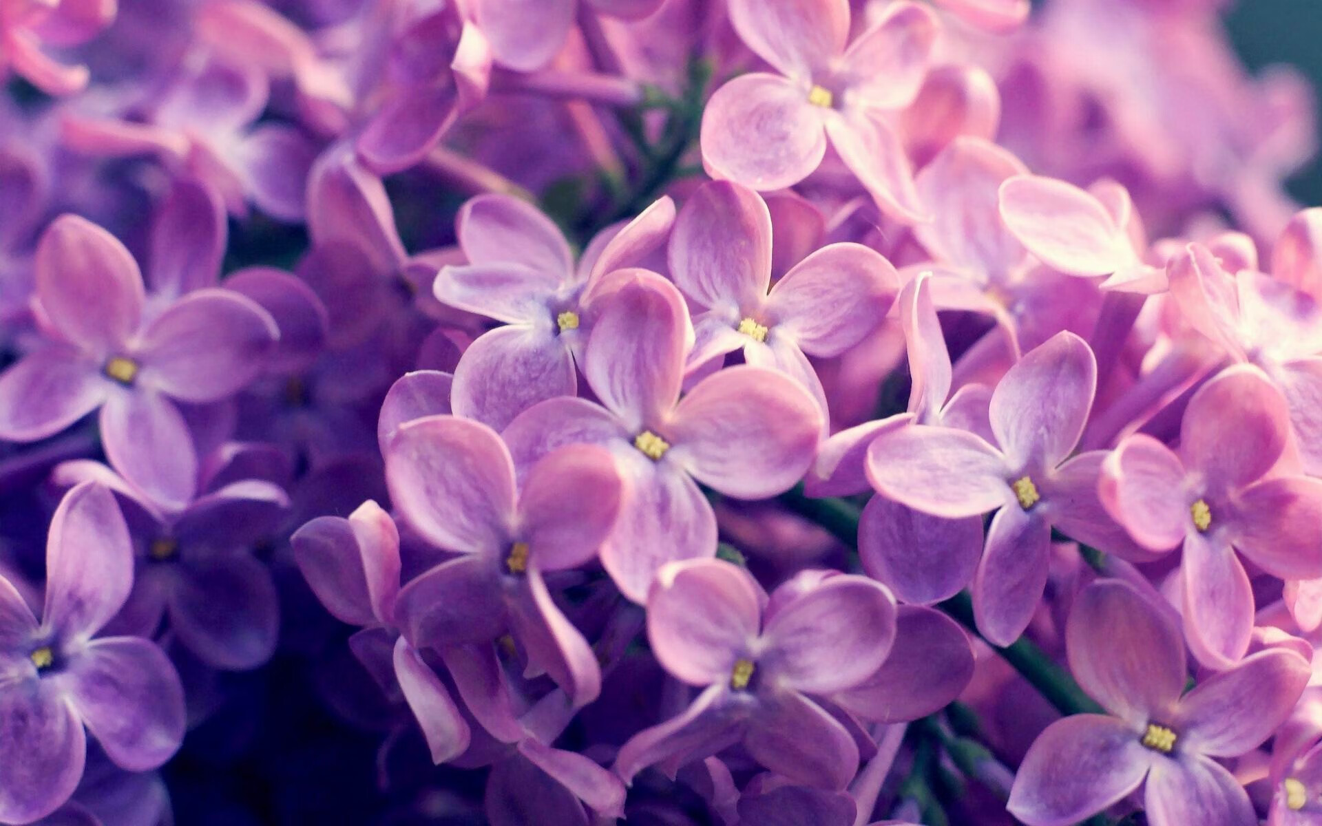 浙江与深圳的鏖战，伦纳德化身全场焦点