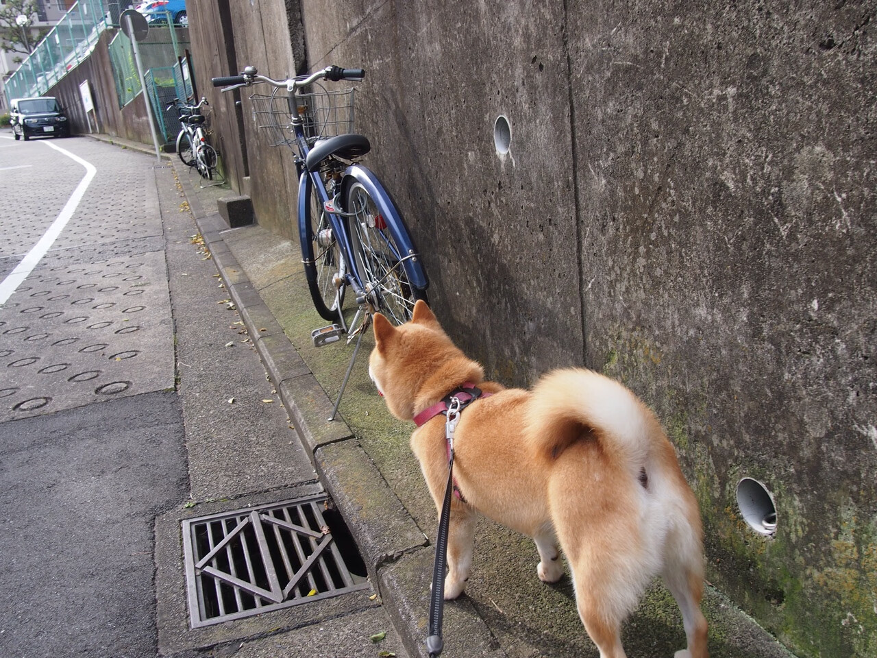 冰与火之歌，戈贝尔统治末节与热火窒息防守背后的篮球哲学