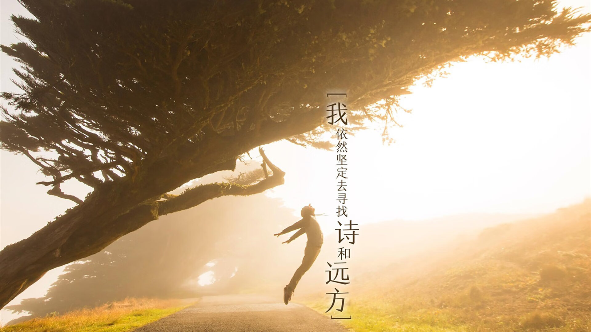 绿军铁壁锁洛城，新星璀璨耀夜空—凯尔特人战术体系完全压制快船，班凯罗打出史诗级表现