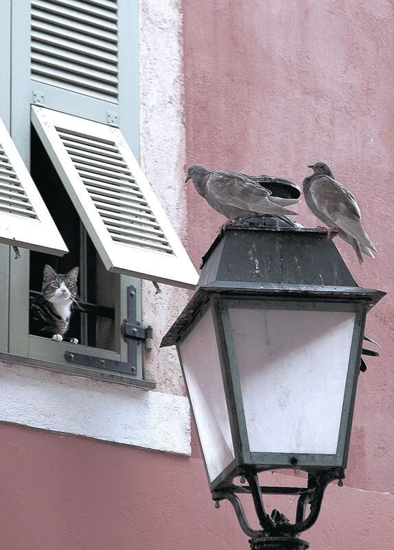独舞盐湖城，当切特用末节15分改写唯一剧本