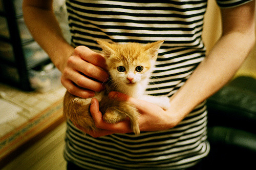 重锤与利剑，勇士的团队压制与马克西的个人英雄主义