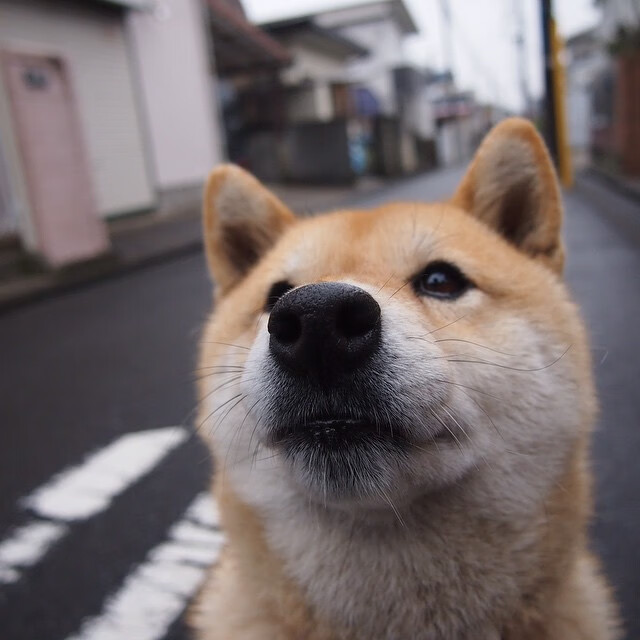构思