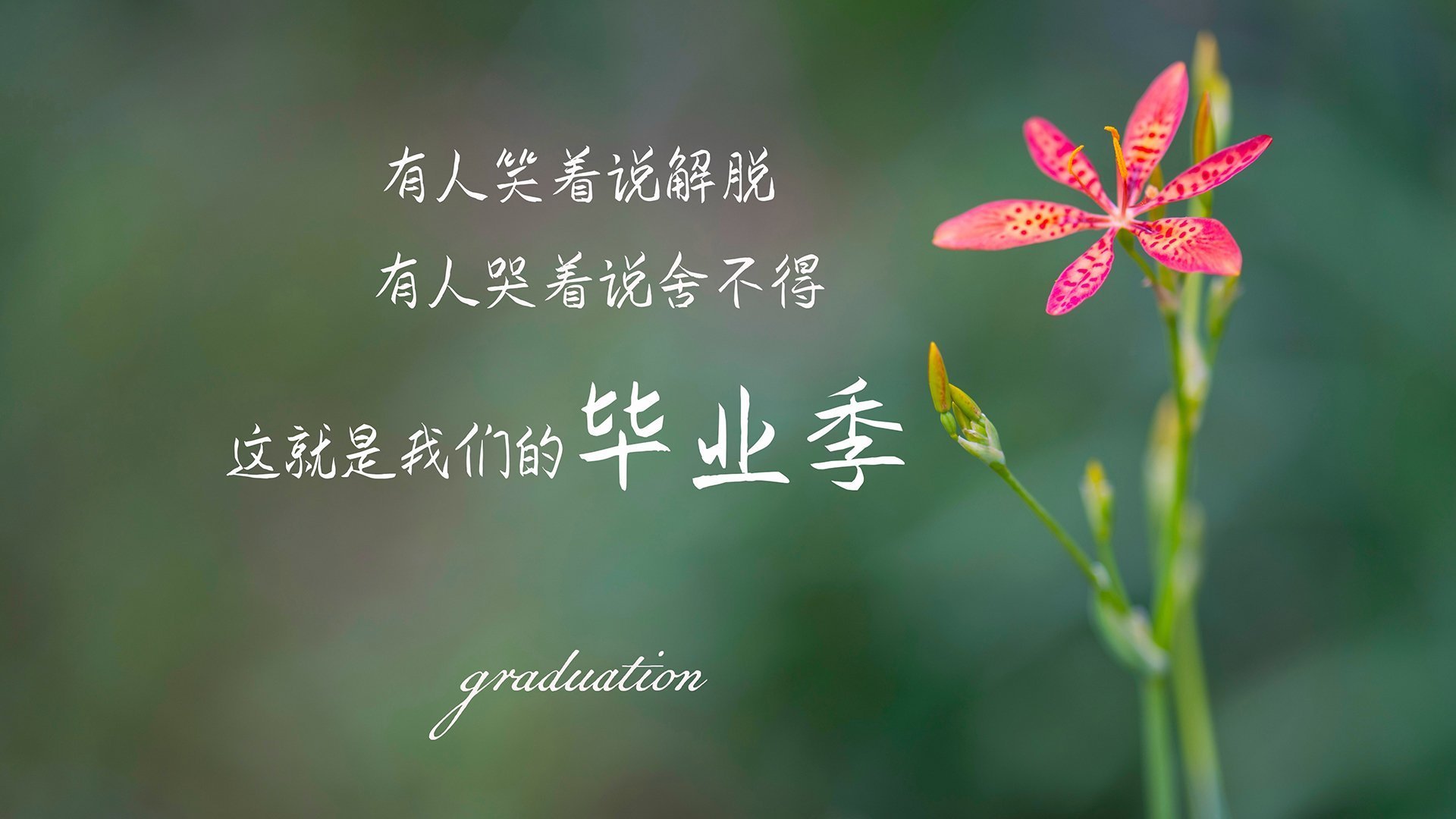 绿茵织网,穆西亚拉以控球为笔,书写突尼斯在2026世界杯G组的险胜史诗